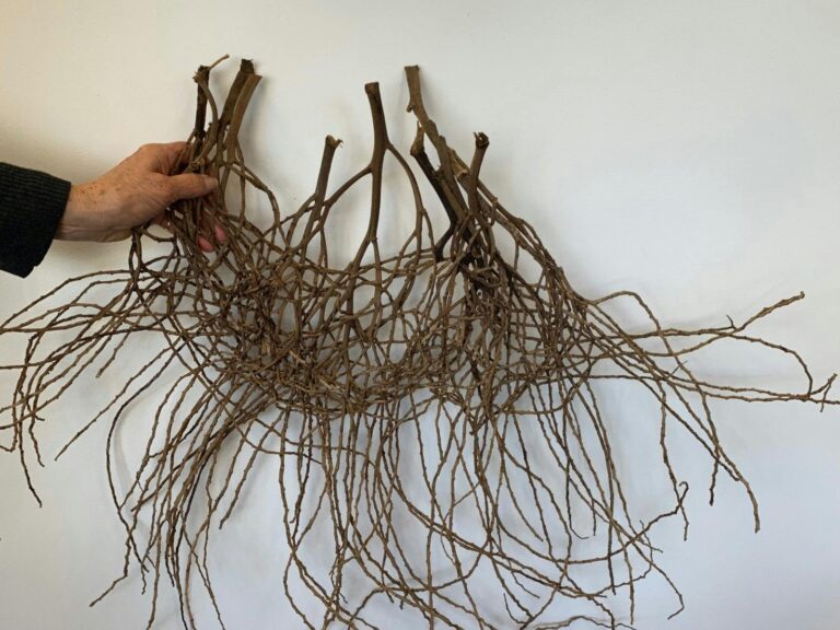 Basketry