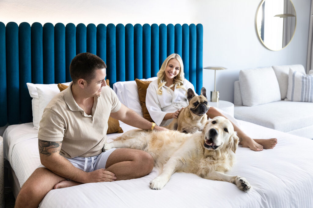 dog on the bed with owners in hotel room